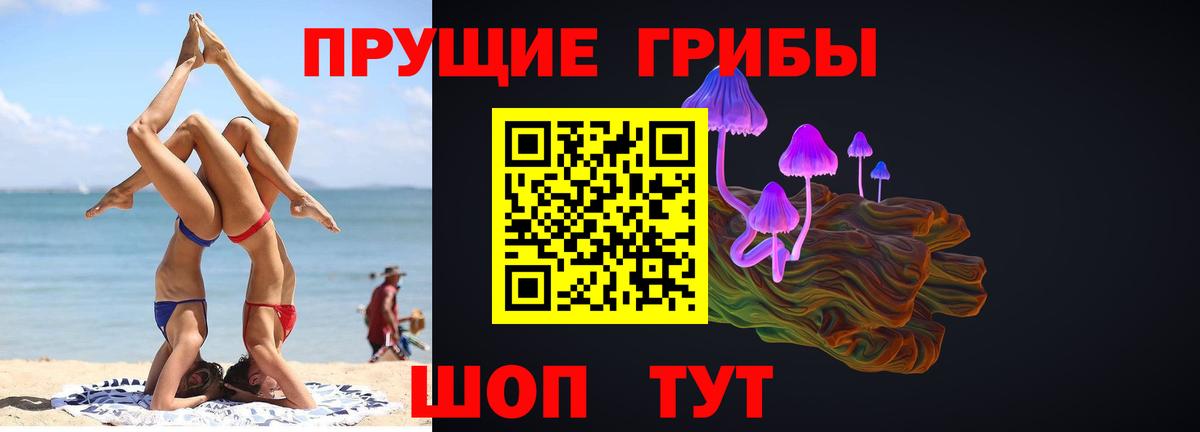 Южноуральск  Псилоцибиновые грибы GOLDEN TEACHER  Галлюциногенные грибы Cubensis  Вход с VPN 